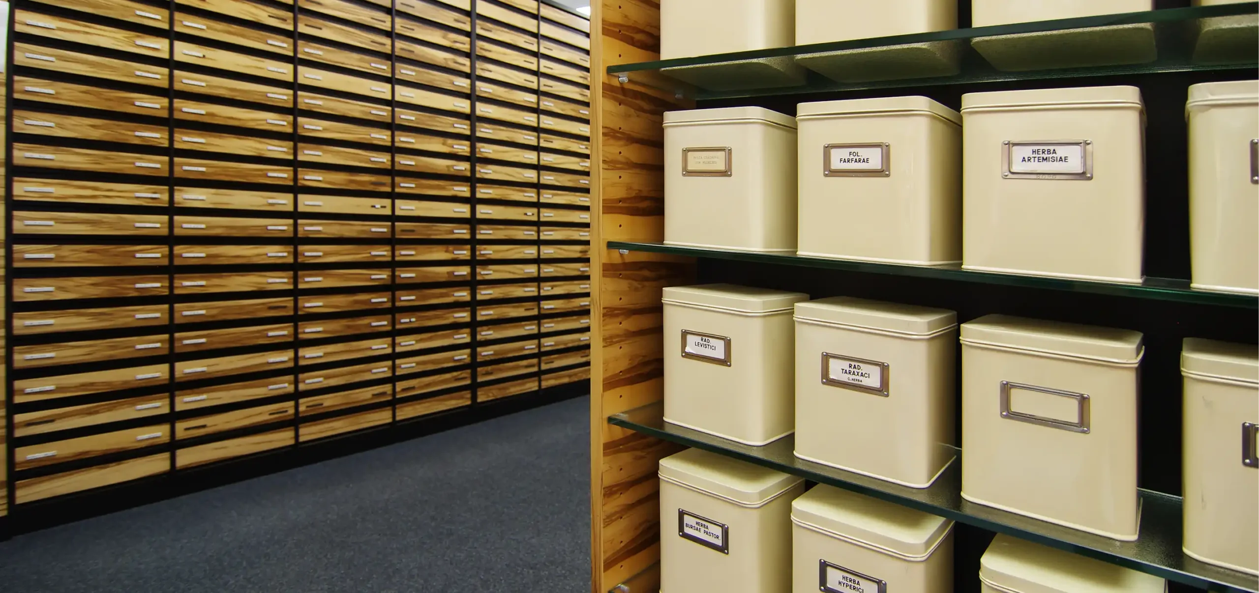 Tal Apotheke, Detailansicht Wandschränke und Schränke mit Schubladen aus Holz